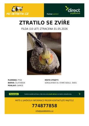ztracená korela